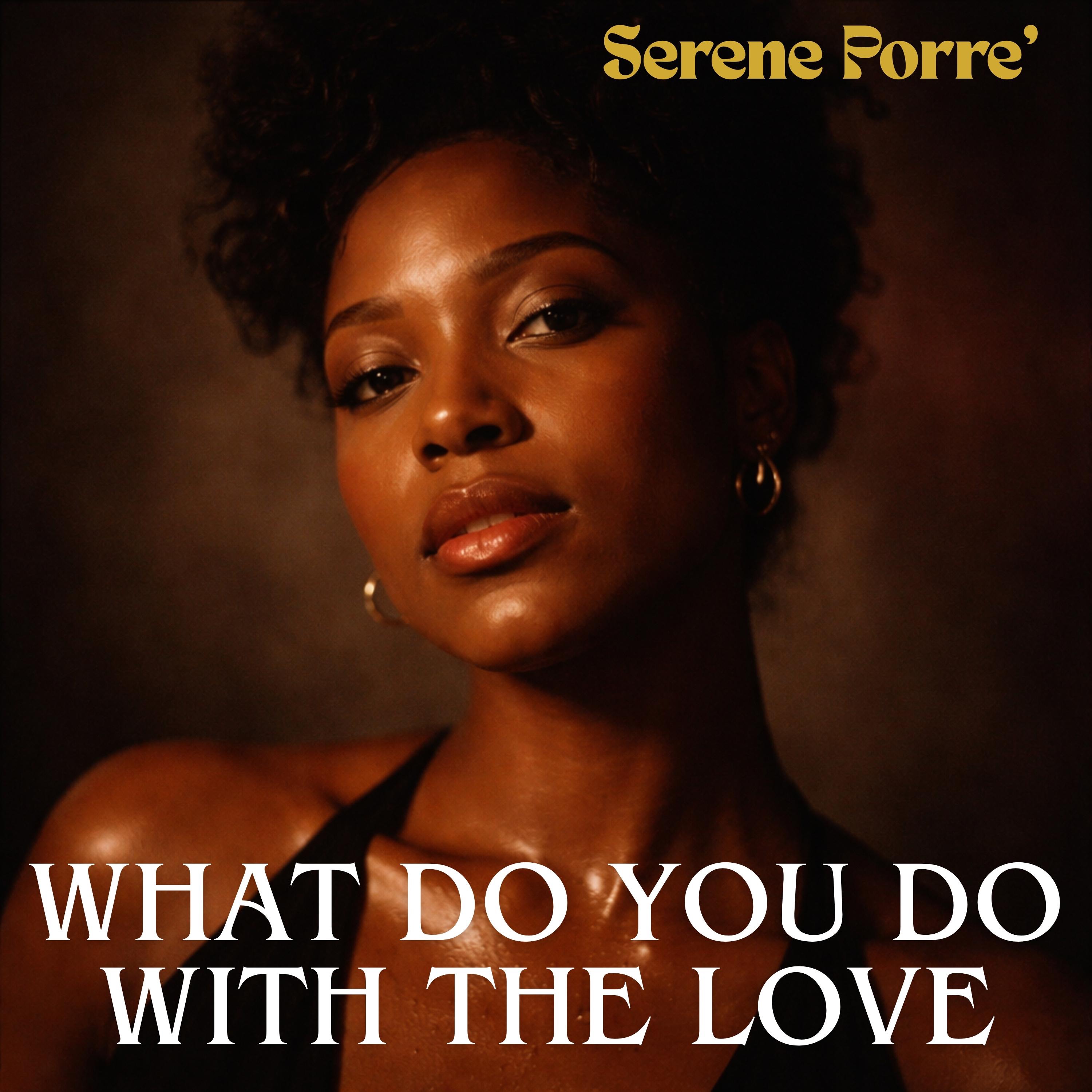 What Do You Do with the Love - Single