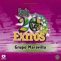 Los Ladrones — Grupo Maravilla