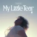 My little tear