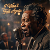 Benny Rivers - I Won’t Fall Again artwork