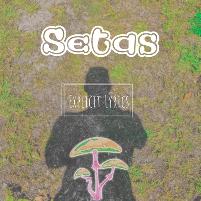Setas - Single