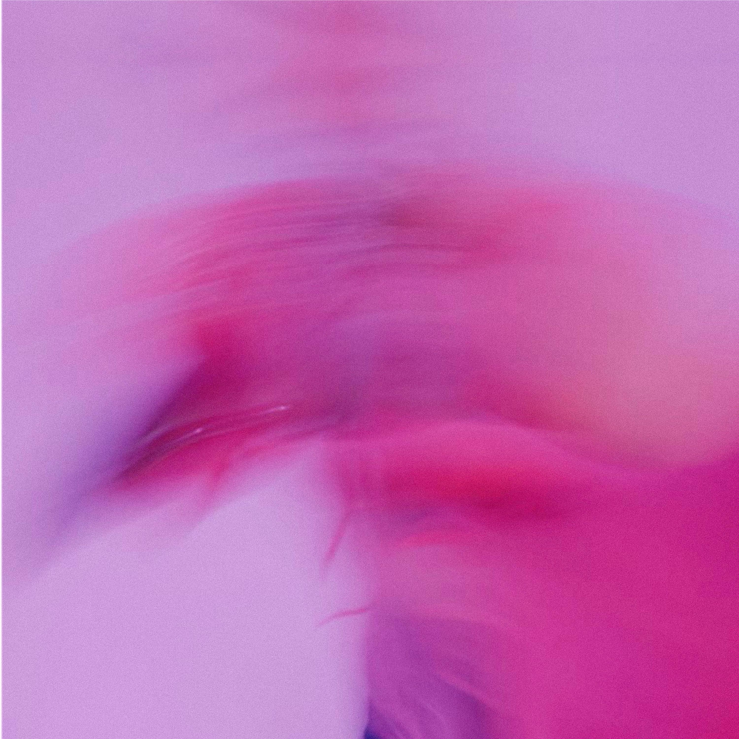 TSFB DONATE - Single