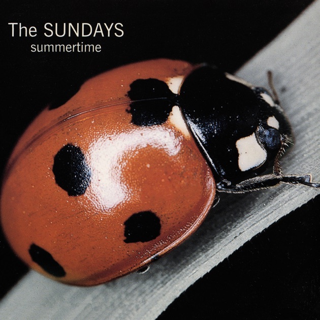 Static & Silence - Album by The Sundays - Apple Music