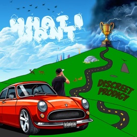 What I Want Discreet Prodigy