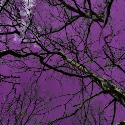 Acid (feat. Totally Kavi) - Single