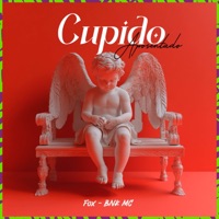 Cupido aposentado - Single - BNK MC & Fox