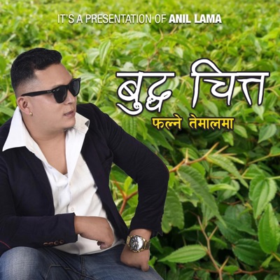 Buddha Chitta Falne Temalma - Single