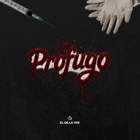 Profugo - Single - EL DE LA VEE