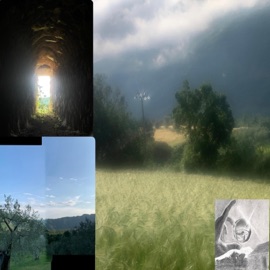 There's Beauty and Hatred in Everyone Blaned