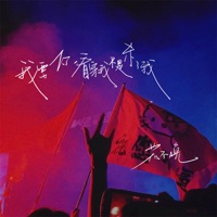 我要你看穿我不是杀了我 (女版) - Single - 花不晚
