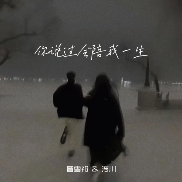 你说过会陪我一生 - Single