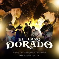 El Tazo Dorado (En vivo) - Single - Mario Delgado Jr. & Mario 