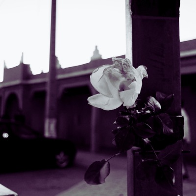 Virus (feat. Esdras) - Single