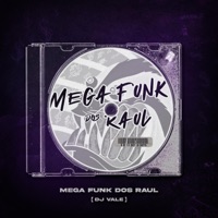 MEGA FUNK DOS RAUL - Single - Dj Vale
