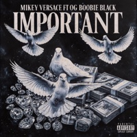 Important (feat. Og Boobie black) - Single - Mikey Versace