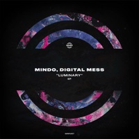 Luminary - Single - Digital Mess & Mindo