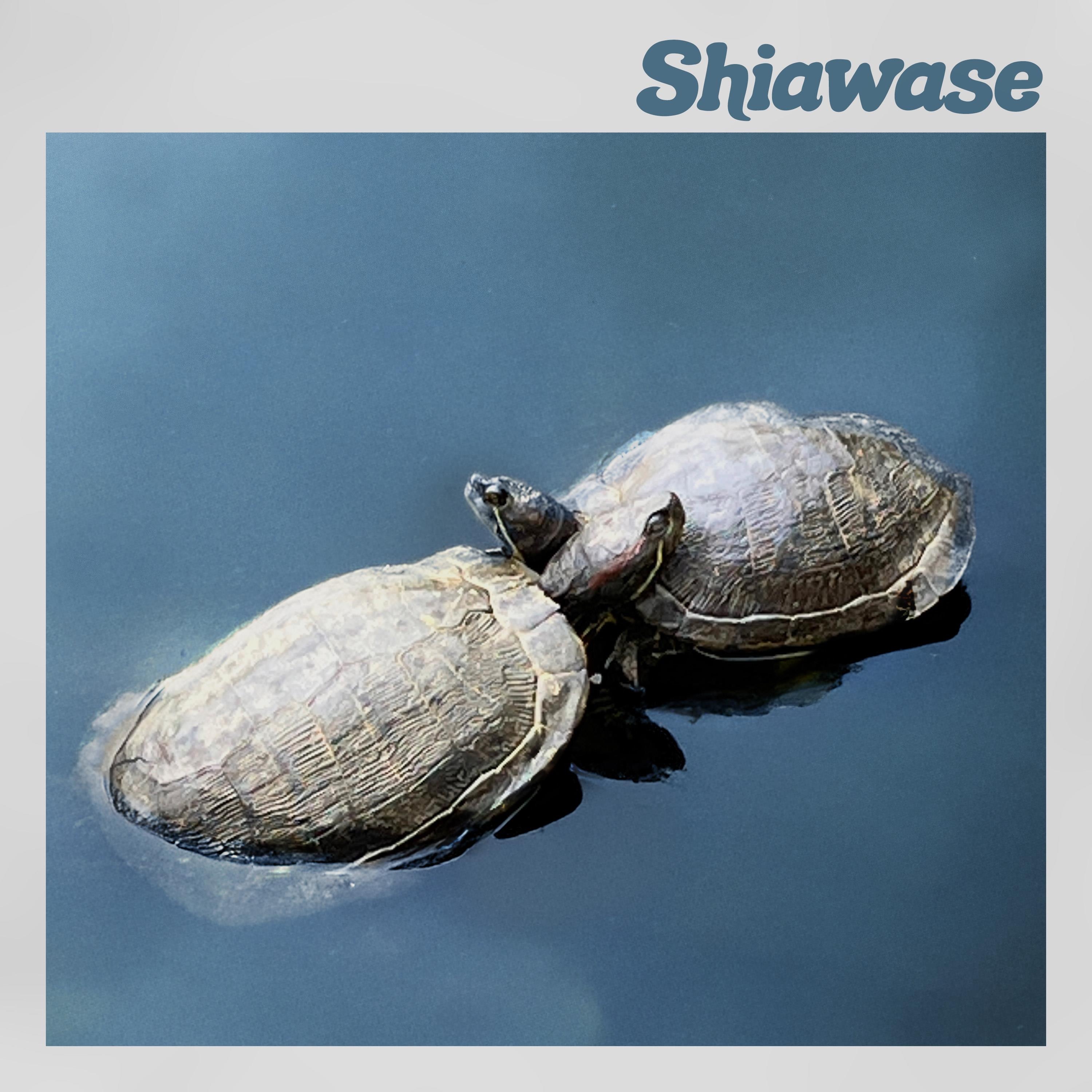 Shiawase - Single
