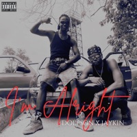 I'm Alright (feat. Jaykin) - Single - Dolpson