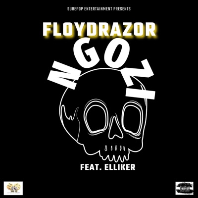 Ngozi (feat. Elliker) - Single