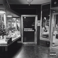 Horrible Pleasures - Junk & i.r.evan