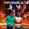 Impossible - Single (feat. bookworm) - Single