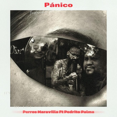PANICO (feat. El Niña Pmk & Pedrito Palma) [Inédita] - Single