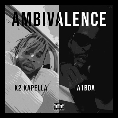 AMBIVALENCE (feat. K2 Kapella) - Single