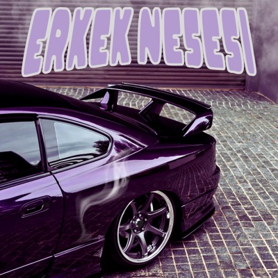 Erkek Neşesi (Slowed) - Single