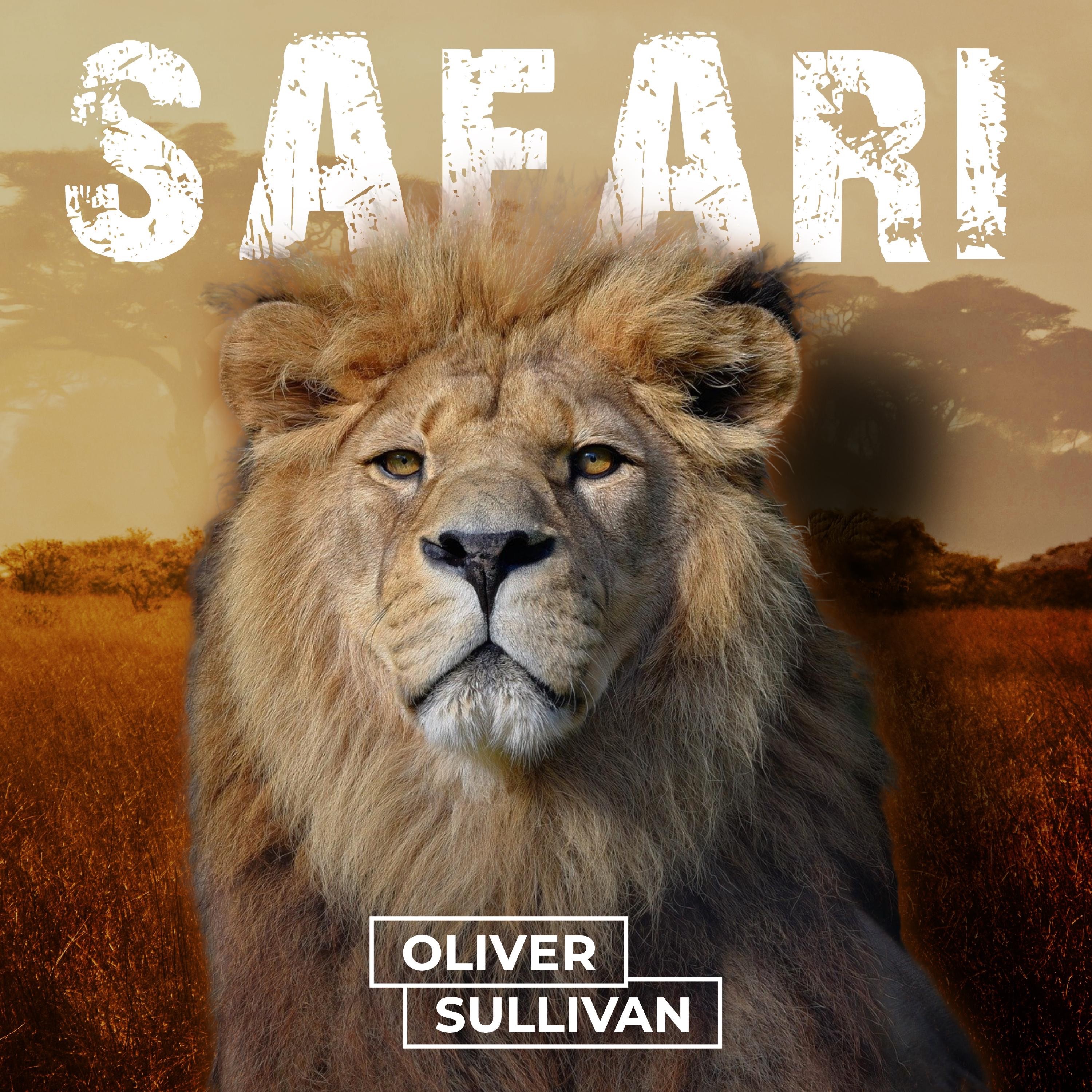 Safari (Oliver Sullivan) - Single