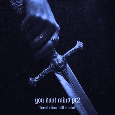 You don't mind, Pt. 2 - Single