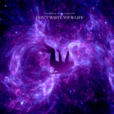 Don't Waste Your Life - Single