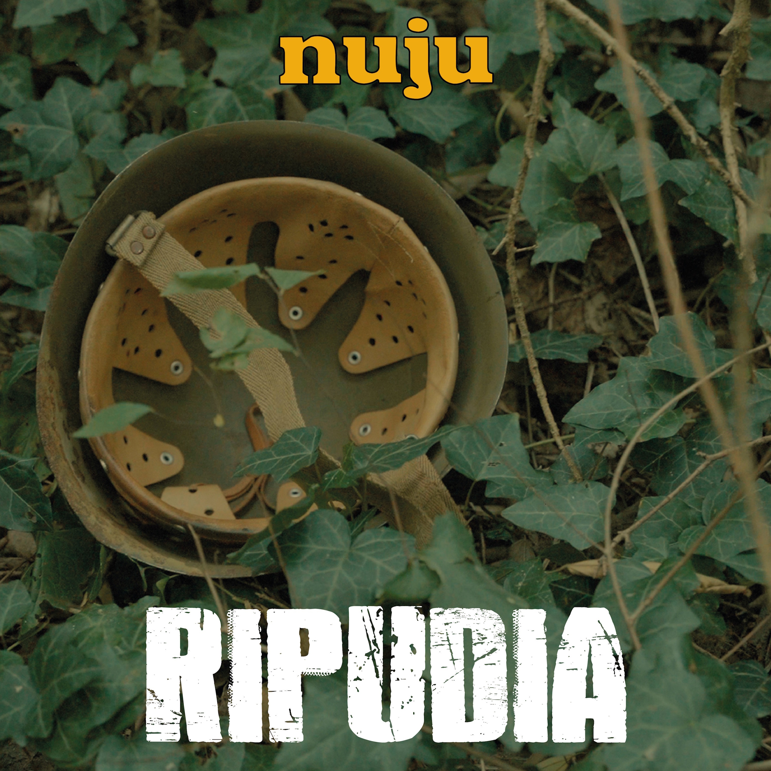 Ripudia - Single