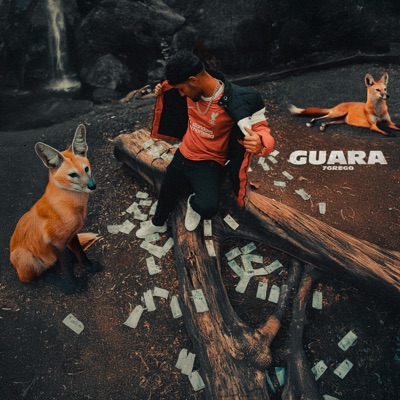 Lobo Guara - Single