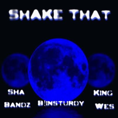 SHAKE THAT (feat. Sha Bandz, King Wes & B1nsturdy) - Single