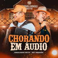 Chorando em Áudio (feat. Rey Vaqueiro) - Single - Arnaldinho Netto