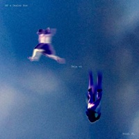 Deja vú (bitácora 3) - Single - Animal Flotante & Dealer B.R.A