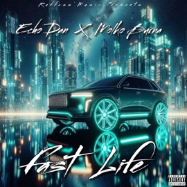 Fast Life (feat. Molko Burna) Echo Dan