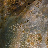 22:22 - Single - Ola Budzyńska & Tomasz Mreńca