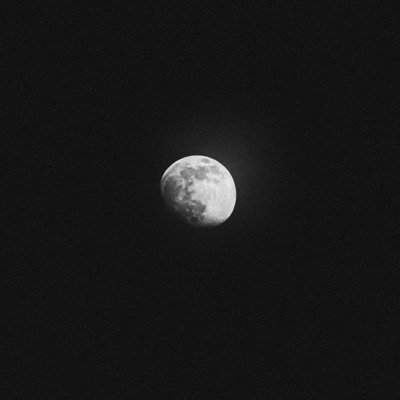Moonlight - Single