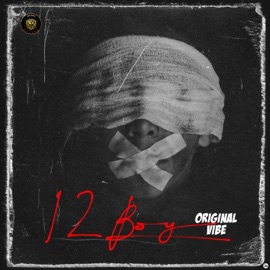 Original Vibe 12Boy