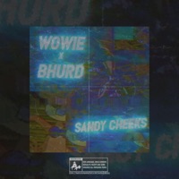 Sandy Cheeks (feat. B. Hurd) - Single - Wowie