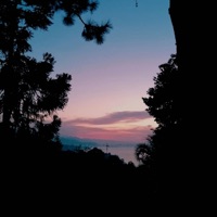 Cherry Waves - Single - wind-up bird