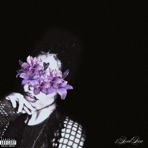 Palavras Gentis Não Custam Nada! - Single