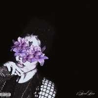 Palavras Gentis Não Custam Nada! - Single - 4RealBea