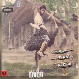 YOLO (feat. Zamorra) King Leu