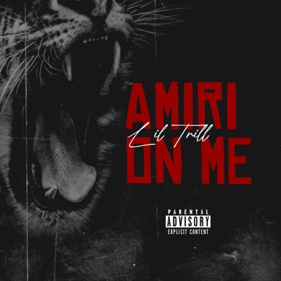 AMIRI ON ME - Single