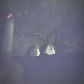 U NOT DAT GUY (feat. yung ksti) water