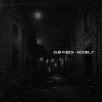 Moonlit - Single - Dub Phizix