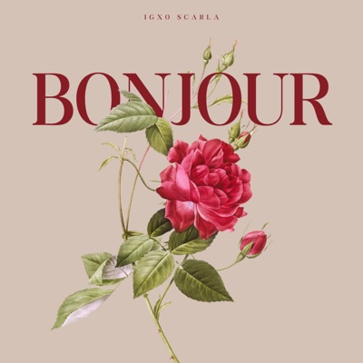 Bonjour - Single