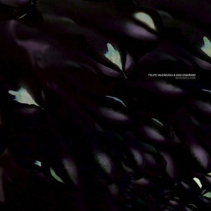Introspection - EP